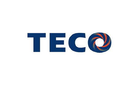 Picture for category for Teco Motors